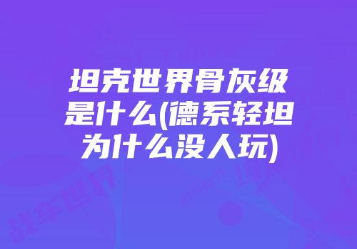 坦克世界骨灰级是什么(德系轻坦为什么没人玩)