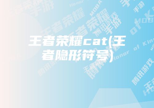 王者荣耀cat(王者隐形符号)